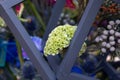 Green Cockscomb Celosia Cristata Annual flower in an exotic bouquet with wooden elements. Modern up-to-date floristry.