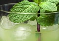 Green cocktail with cubes ice