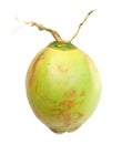 A green coconut