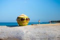 Green coconut as a halloween symbol in the shape of a pumpkin. he wears sunglasses, stands a tree on the beach. Holidays vacation