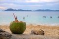 Green coconut drink with straw on sea beach sand. Coconut juice on tropical seashore. White sand beach relax