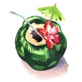 Green coconut with flower, umbrella and drinking straw, exotic drink, summer tropical cocktail isolated, hand drawn