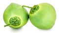 Green coconut isolated on white background Royalty Free Stock Photo