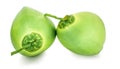 Green coconut isolated on white background Royalty Free Stock Photo