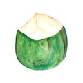 green coconut painted in watercolor isolated white background hand drawn