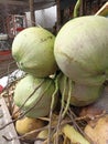 Green Coconut at The Tradisional Market
