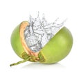 Green coconut with water splash on white background. Royalty Free Stock Photo