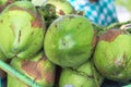 Green coconuts background