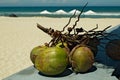 Green coconuts on the beach