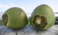 Green coconuts and Caribbean sea background. Martinique, French West Indies. Tropical culture