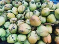 Green coconuts Royalty Free Stock Photo