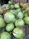 Green coconuts on the store 3