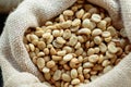 Green coffee bean in bags Royalty Free Stock Photo