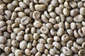 Green coffee bean raw at sun day, close up, the green coffee beans background Royalty Free Stock Photo