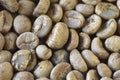 Green coffee bean raw at sun day, close up, the green coffee beans background Royalty Free Stock Photo