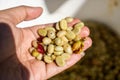 Green coffee bean refers to unroasted mature or immature coffee beans. Royalty Free Stock Photo