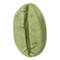 Green coffee bean on white background Royalty Free Stock Photo