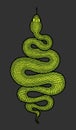 Green coiled snake detailed illustration Royalty Free Stock Photo