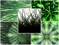 Green collage