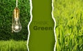 Green collection of eco-friendly photos
