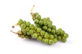 green color black pepper on white background Royalty Free Stock Photo