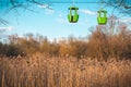 Green color cable cars in Maxim Gorky Central Park in early spring. Kharkov, Ukraine