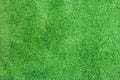 Green color carpet,rug texture background,Ready for product display montage. Royalty Free Stock Photo