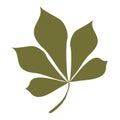 Green color Chestnut leaf Isolated on white background. Vector flat logo illustration. Cartoon Botany Design element, Autumn icon Royalty Free Stock Photo