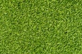 Green color decorative grass loan for sport and leisure.