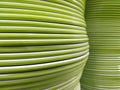 Green color of the dish Set to vertical rows Royalty Free Stock Photo