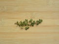 Green color fresh Thyme leaves Royalty Free Stock Photo