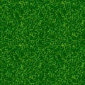Green color grass vector background. Fresh spring lawn vector illustration. Natural environment backdrop. Soccer