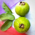 Green color guava with leaves arranged beautifully with color papers on background and good for health and skin and Help Lower