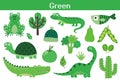 Green color objects set. Learning colors for kids. Cute elements collection