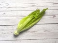 Green color whole fresh Romaine lettuce