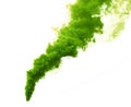 Green color smoke on white background. Stock image