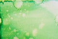 Green watercolor ink painted on paper background texture Royalty Free Stock Photo