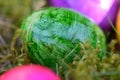 Green colored easteregg in the mossy grass