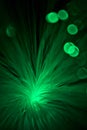 Green Colored Fiber Optics Royalty Free Stock Photo