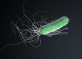 Green colored multiple antibiotic resistant Pseudomonas aeruginosa bacterium Royalty Free Stock Photo