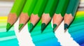 Green colored pencils and color chart of all colors Royalty Free Stock Photo