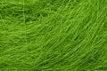 Green colored sisal fibre texture