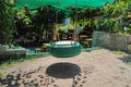 Green colored tire swing hanging in park with blurred background Royalty Free Stock Photo