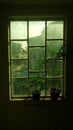 green colored window Royalty Free Stock Photo