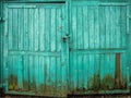 Green colored wooden texture of garage door.