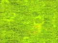 Green colorful design adstract beautiful images background blur