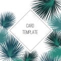 Green colorful tropical vector design square frame. Palm leaves in vintage colors. Natural exotic card in modern funky style. Royalty Free Stock Photo