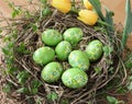 Green easter eggs with flower decor