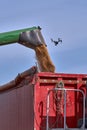 Green combine harvester machine unloading sorghum into a red trailer truck. sorghum harvest in summer. Sunny blue sky Royalty Free Stock Photo