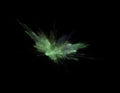 Green combustion on black background, fractal illustration Royalty Free Stock Photo